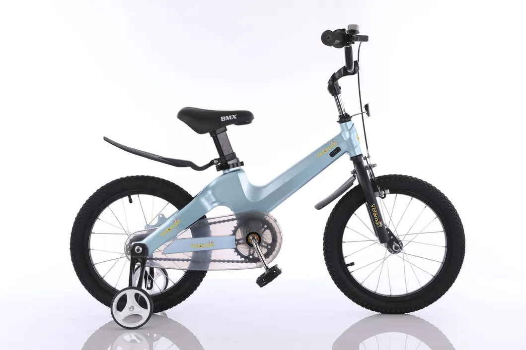 12" 14" 16" Hot Sale Magnesium Alloy Children Bicycle /Kids Bike