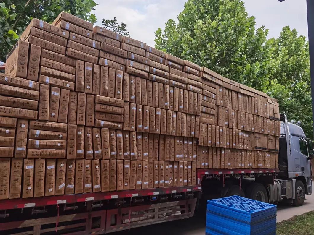 Baby Wholesale Child Cheap Price Cycle Kids Small Bicycle 12 Inch Kids Balance Bicycle for Kids Children Alloy BMX Balance Bike with Opw Children Ride on Toy