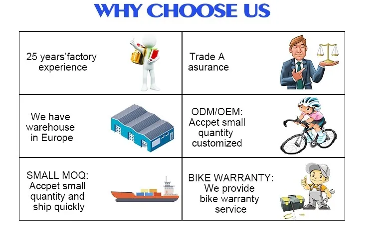 Factory OEM Children Mountain Bike