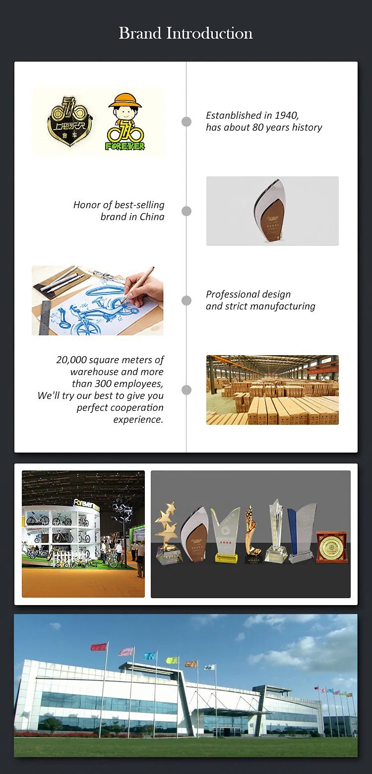 Forever 14 Inch Aluminum Alloy Children Push Bike Learning Training Bike Without Pedal