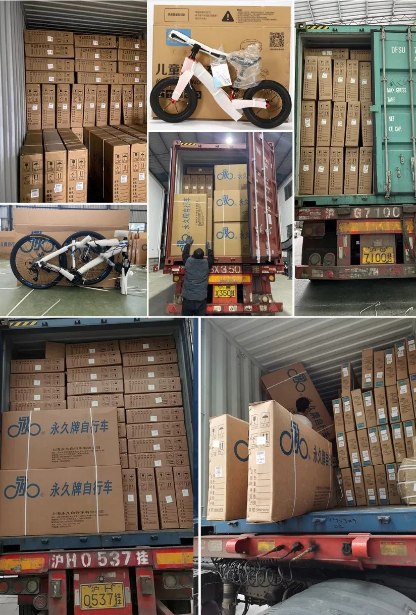 Forever 14 Inch Aluminum Alloy Children Push Bike Learning Training Bike Without Pedal