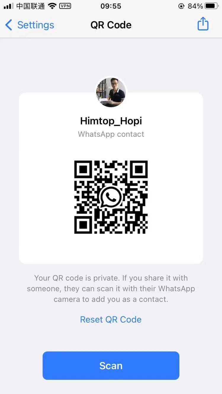 Lovely Talking Toy Dancing Cactus Doll Speak Talk Sound Record Repeat Toy Kawaii Cactus Toys Children Kids Education Toy Gift