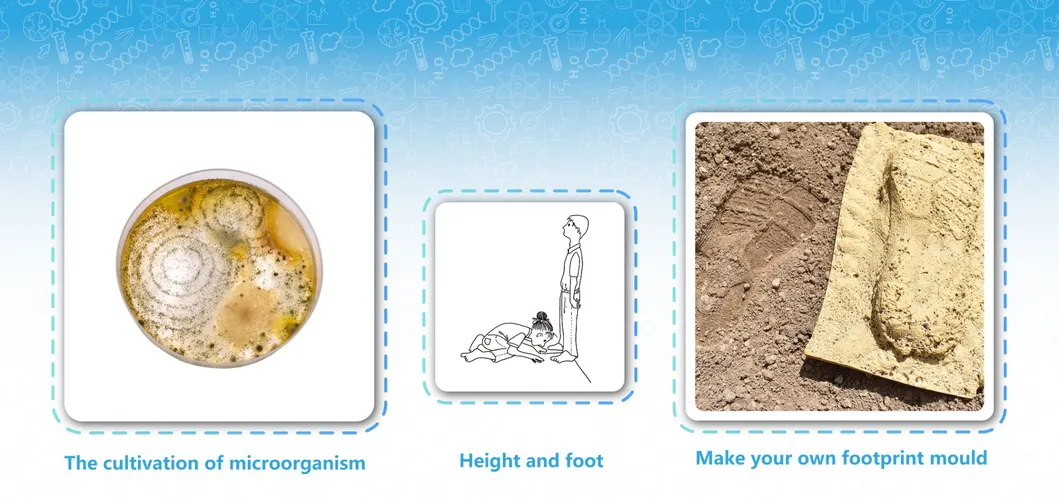 School Educational Science Toys Detective Training Camp