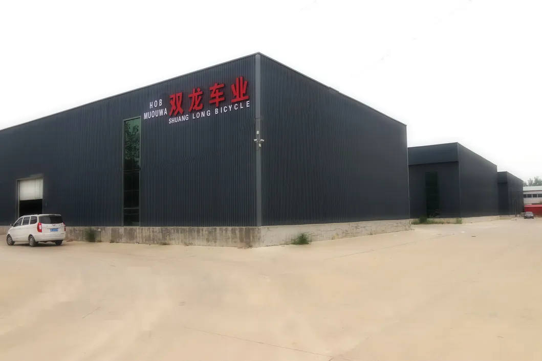 Wholesale Magnesium Alloy Frame Bicycle for Kids Children Bicycle